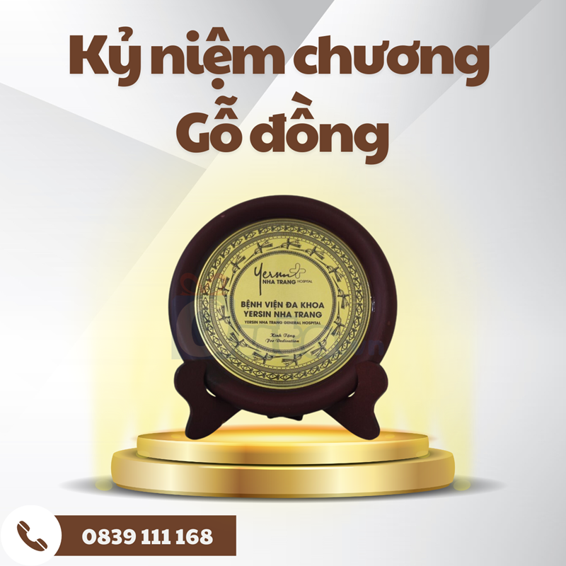 Kỷ niệm chương - biểu trưng gỗ + đồng